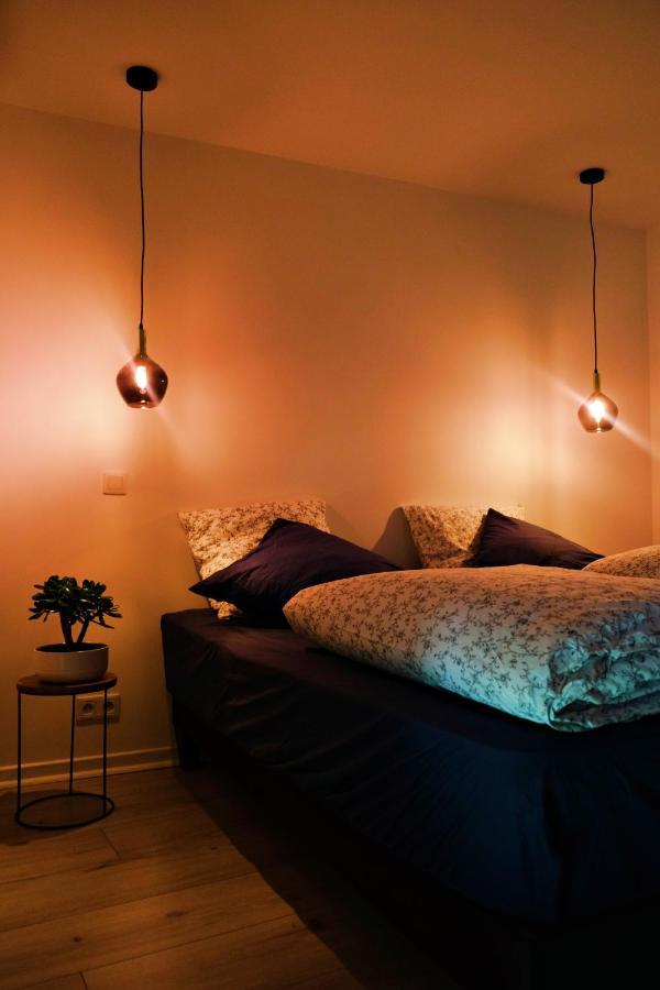 Le Loft Pasteur *