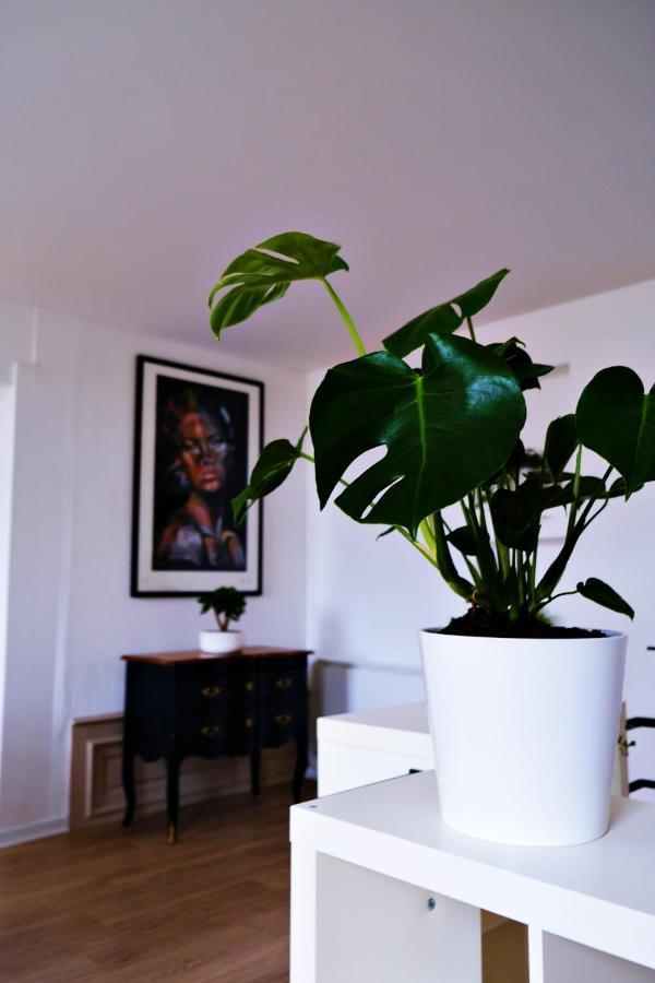 Le Loft Pasteur * Dole